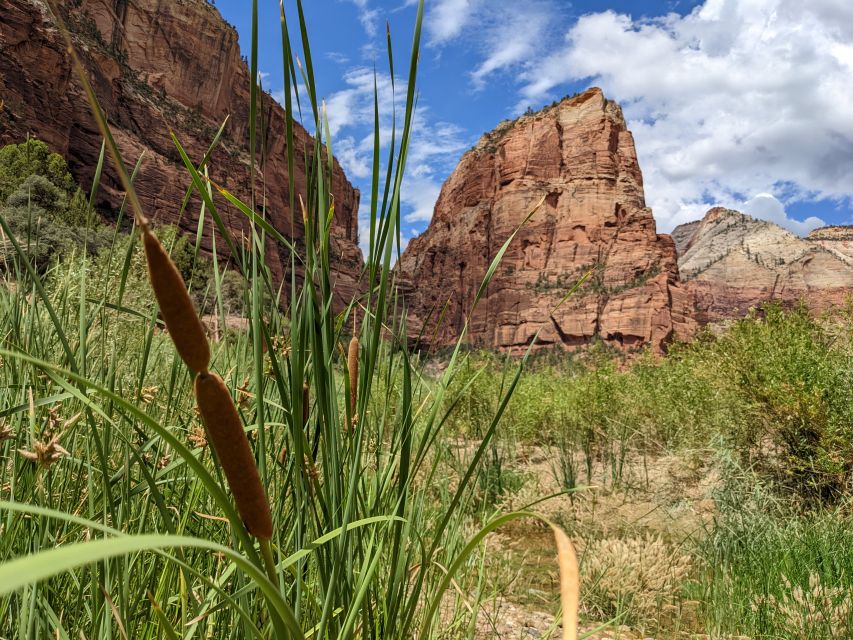 From Las Vegas: Zion National Park Small Group Adventure - Price and value: why $149 can make sense