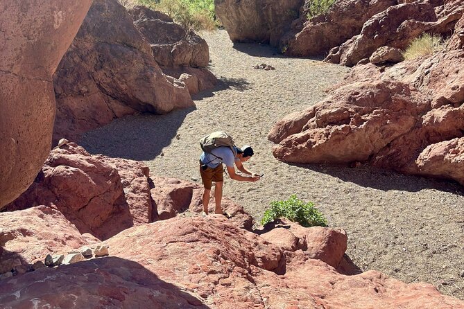 Full-Day Emerald Cave Kayak Tour: 3 Caves, Hidden Beach, Wildlife - The Beach Stop: Where You Actually Reset