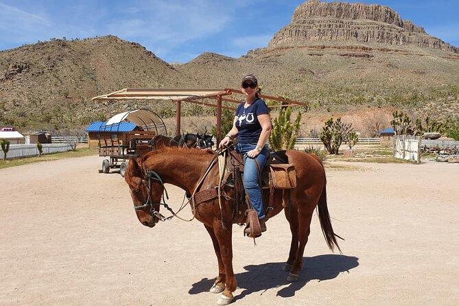 Full Day Grand Canyon Trip with Horseback Ride From Las Vegas - Practical Tips Before You Go
