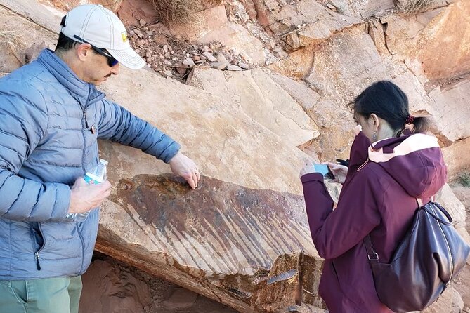 Grand Canyon Biblical Creation Hiking Tour • South Kaibab Trail - Pacing, steepness, and the moderate level reality