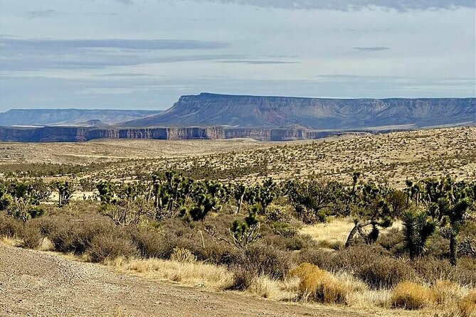 Grand Canyon Helicopter and Ranch Adventure by Luxury Vehicle - On the road both ways: long drives, plus drivers who make them easier