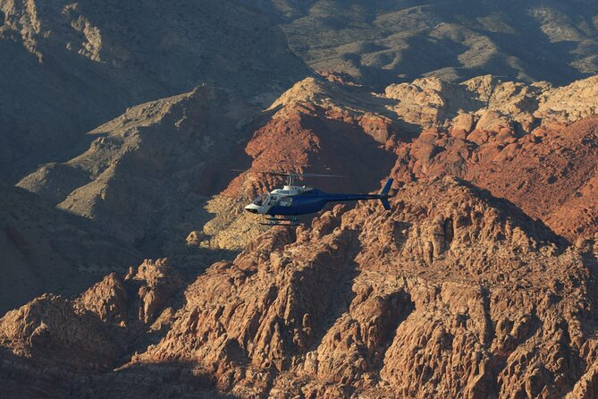 Grand Canyon Helicopter and Ranch Adventure by Luxury Vehicle - Joshua Tree Forest driving: desert plants you might miss on your own