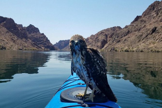 Grand Canyon Helicopter Flight with Emerald Cave Kayak Tour - Photo ID, weight limits, and the kind of “rules” you’ll thank them for