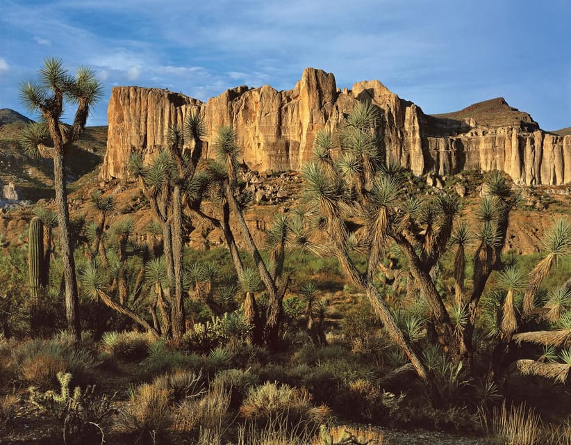 Grand Canyon Hoover Dam and Joshua Tree VIP Small Group Tour - Price and Value at $220: Is It Worth It for Your Style?