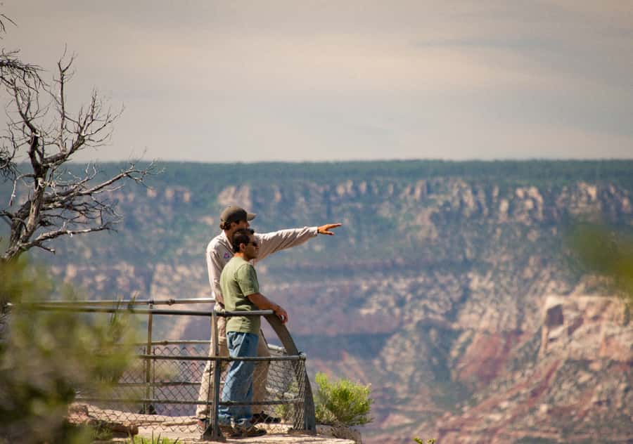 Grand Canyon National Park Day Tour from Las Vegas - The Drive Route: Mojave Desert, Route 66, and Changing Scenery