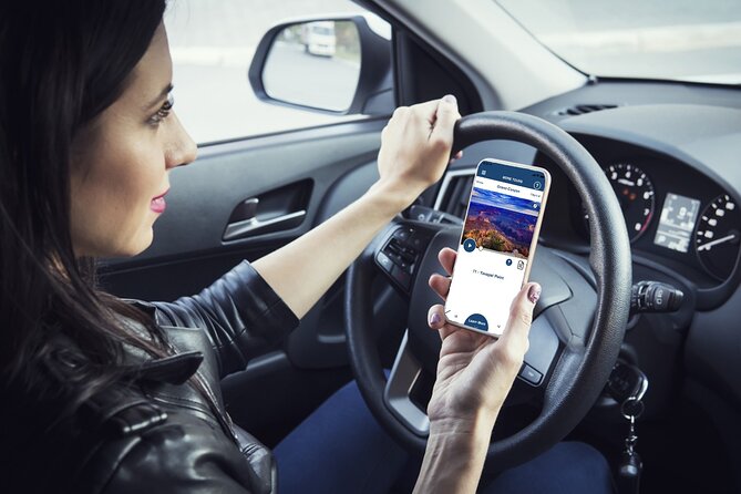 Grand Canyon South & East Rim: Driving & Walking Audio Tour - Price and value: $16.99 per group for a car-based Grand Canyon day