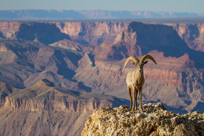 Grand Canyon South & East Rim: Driving & Walking Audio Tour - South Kaibab Trail and Tusayan Ruins Museum: using the audio for extra meaning