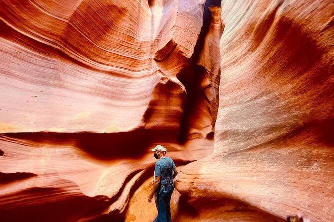 Grand Canyon South Rim, Antelope Canyon and Horseshoe Bend Tour - Dinosaur Tracks and Painted Desert Seasonality: A Quick Stop With Personality