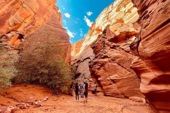 Grand Canyon South Rim, Antelope Canyon and Horseshoe Bend Tour - Comfort, Timing, and Small-Group Reality on the Road