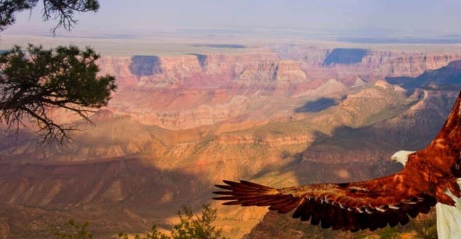 Grand Canyon West: 1-Day Entrance Ticket - Guano Point Viewpoint: The View Most People Want to Time Right