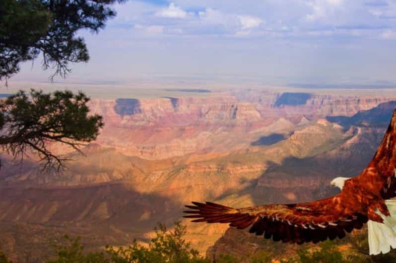 Grand Canyon West: 1-Day Entrance Ticket - How the Day Flows: Shuttle Rides Between Canyon Stops