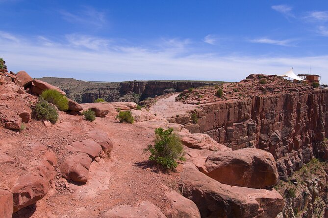 Grand Canyon West Bus Tour with Hoover Dam and Optional Skywalk - The drive through Joshua Tree forest and Mojave Desert: the scenery you actually notice