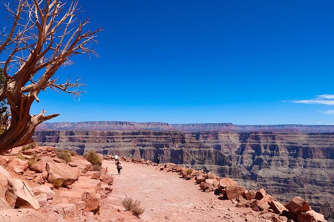 Grand Canyon West Luxury Private Tour from Las Vegas - What the driver-guide adds (and why it matters more than you think)