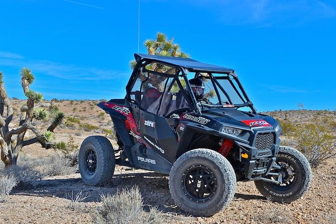 Guided Mojave Desert Off Road RZR Adventure - Guided Mojave Desert RZR: why this feels like the right kind of wild