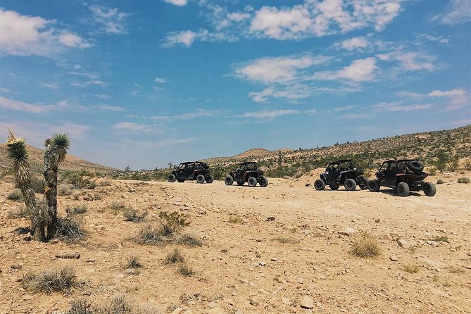 Guided Mojave Desert Off Road RZR Adventure - Who can drive and who can ride: simple rules, real limits