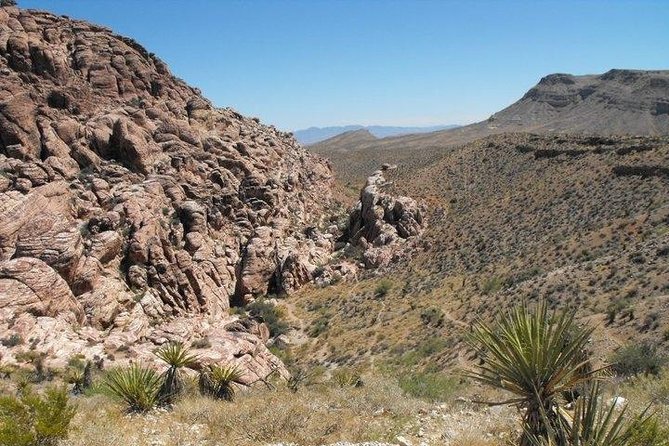 Guided Mountain Bike Tour of Mustang Trail in Red Rock Canyon - Getting out of the Strip mindset, fast