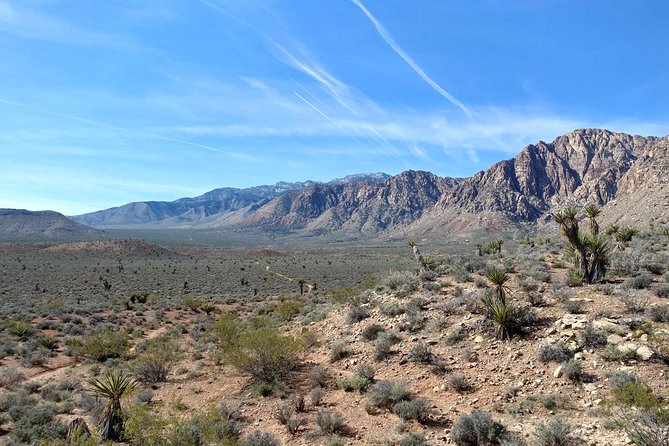 Guided Mountain Bike Tour of Mustang Trail in Red Rock Canyon - Terrain expectations: who it’s for and who should think twice
