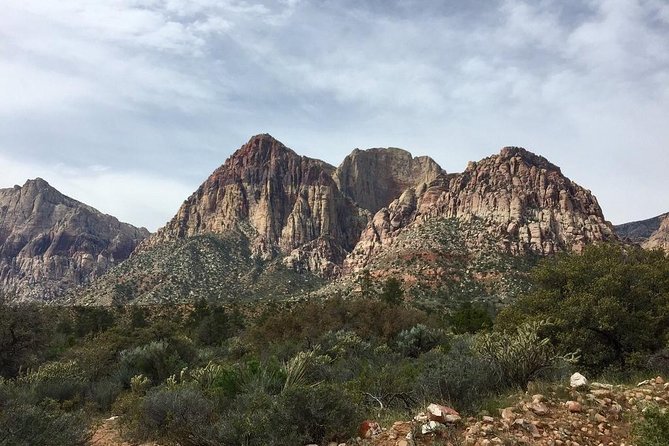 Guided or Self-Guided Road Bike Tour of Red Rock Canyon - Bike Options and Setup: Why the Right Gear Changes Everything