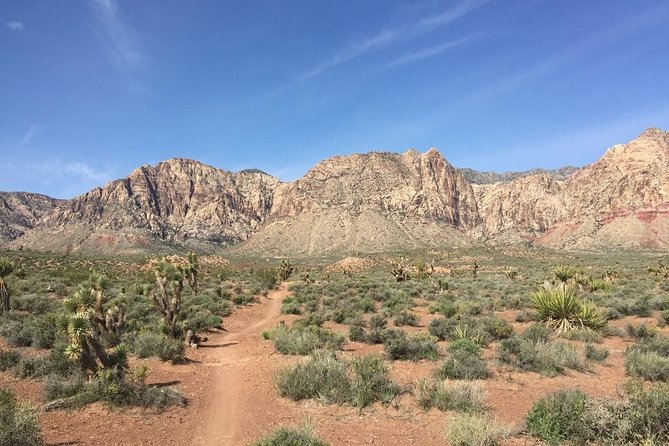 Guided or Self-Guided Road Bike Tour of Red Rock Canyon - Who Should Book This Ride (And Who Might Want to Choose Another Option)