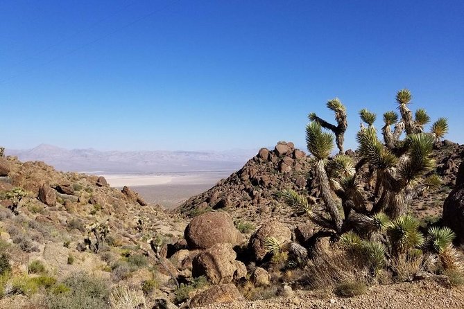 Half-Day Electric Bike Tour of Red Rock Canyon - Getting to the Ride: Treasure Island Pickup That Saves Your Day