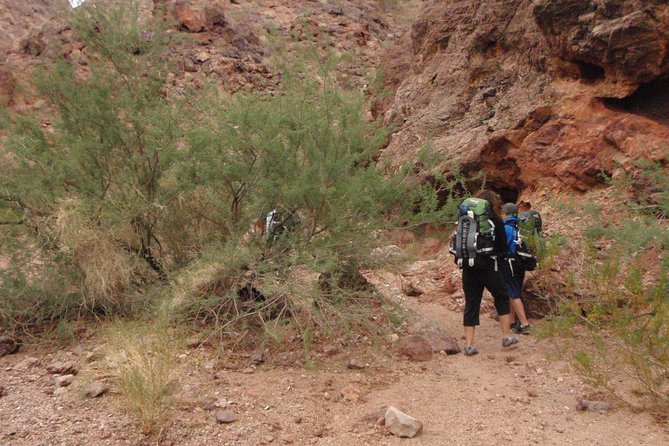Hiking Adventure in White Rock Canyon and Desert Hot Springs - Colorado River cool-down and bighorn sheep spotting