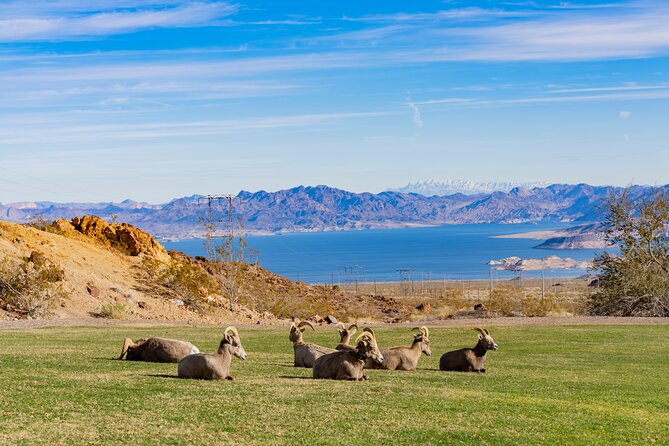 Hoover Dam and Lake Mead Self-Guided Audio Tour - Stop-by-stop: from the Vegas sign to Hoover Dam bridge views