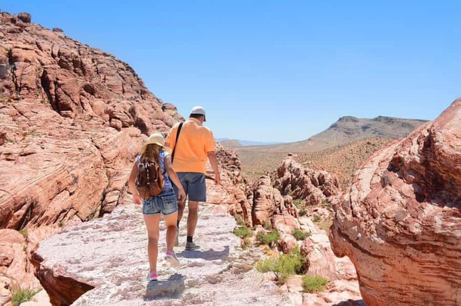 Hoover Dam and Red Rock Canyon Combo Tour - Price and value: why $52 can work (if your priorities match)