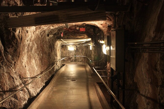 Hoover Dam Tunnels & Power Plant Tour - Who should book this tour (and who might want a different plan)