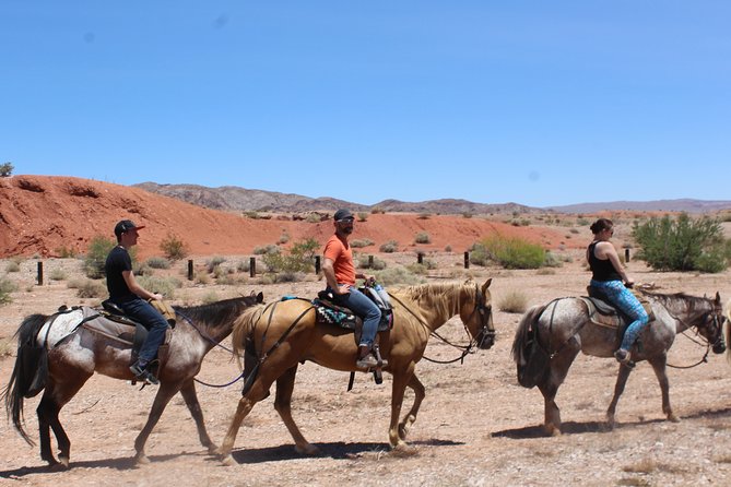 Horseback Ride in Las Vegas - What You Do on the Trail: Mounting, Riding, and a Stop at Lava Butte
