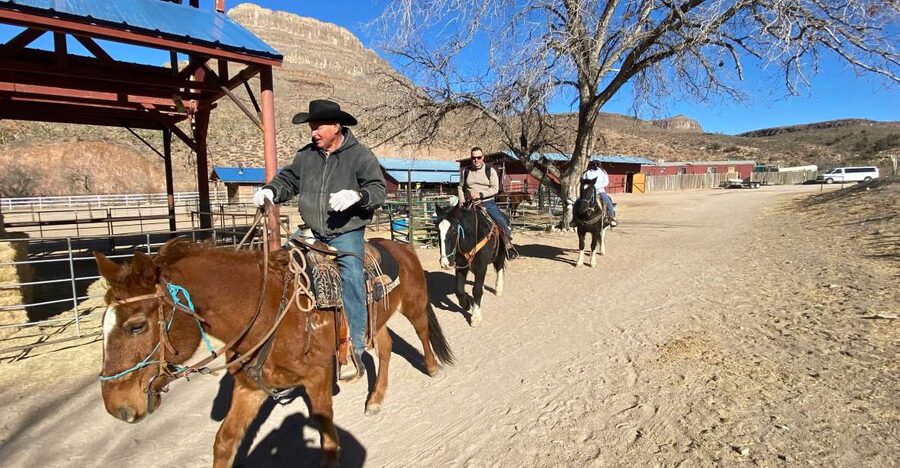 Horseback Ride thru Joshua Tree Forest with Buffalo & Lunch - Should you book Horseback Ride thru Joshua Tree Forest with Buffalo & Lunch?