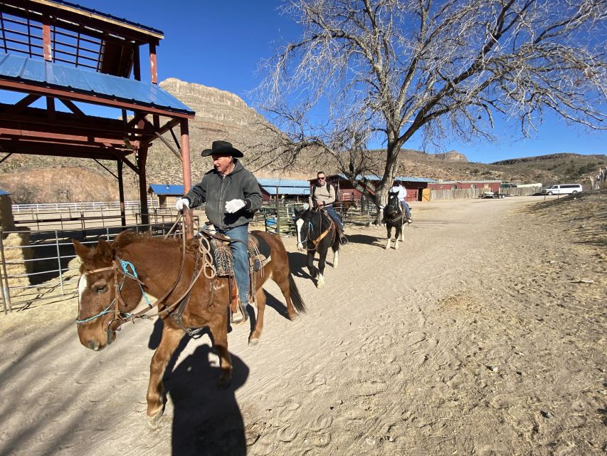Horseback Ride thru Joshua Tree Forest with Buffalo & Lunch - Saddle up: the Joshua Tree Forest trail ride and what your time in the saddle feels like