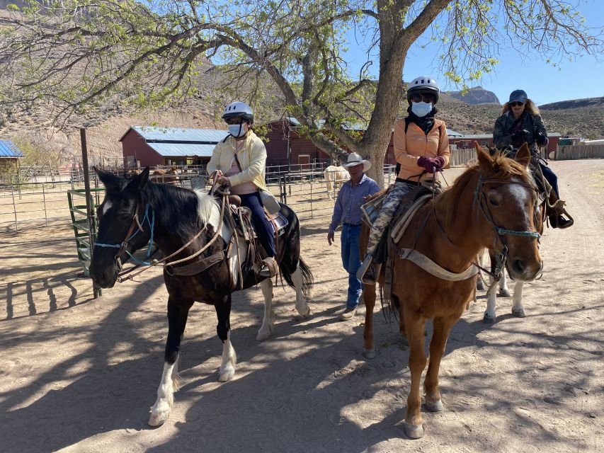 Horseback Ride thru Joshua Tree Forest with Buffalo & Lunch - Buffalo time: how you spot them and how the day keeps it safe