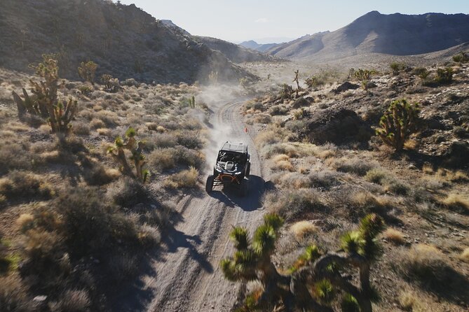 Las Vegas ATV Tour with Free Transportation - Practical tips before you go: shoes, helmets, and the small stuff that saves time