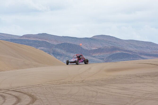 Las Vegas Big Dune Free Roam Adventure at Amargosa - Picking your ride: ATV, UTV buggy, or dune buggy (and the age rules you must know)