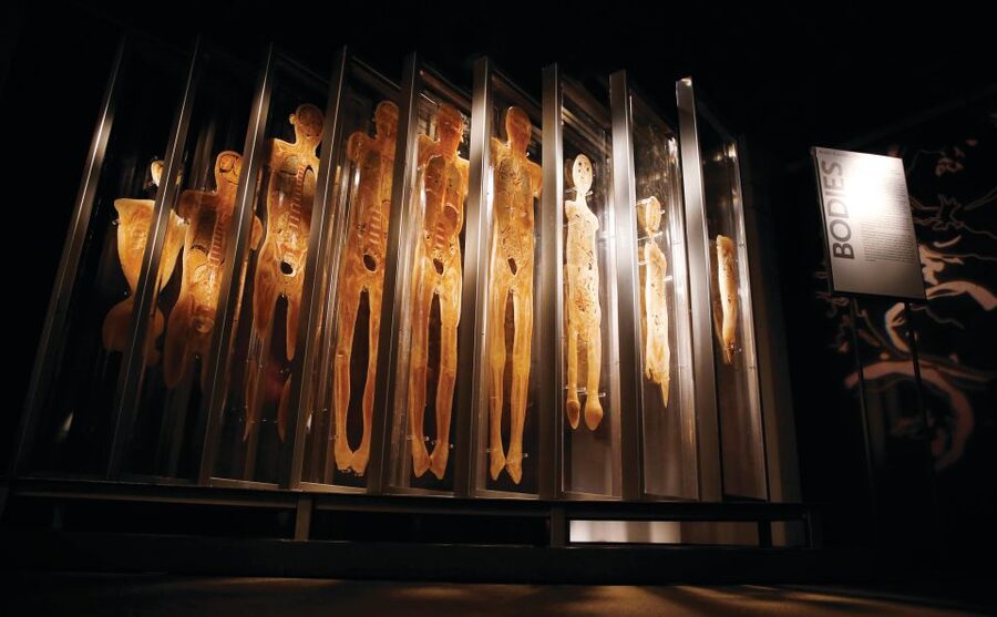 Las Vegas: BODIES | The Exhibition at the Luxor - The lifestyle lessons: over-eating, inactivity, and lung damage