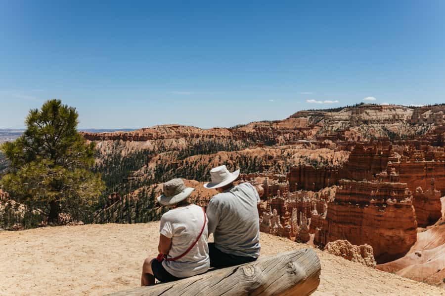 Las Vegas: Bryce and Zion National Parks Tour with Lunch - The Zion Plan: Visitor Center, Pass Roads, and a Mile-Long Tunnel