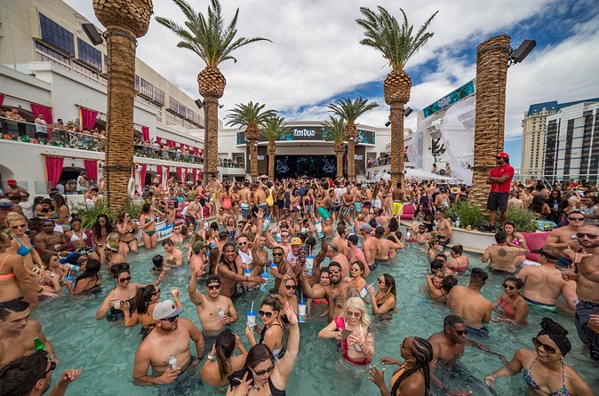 Las Vegas Day Club Crawl & Party Bus VIP Tour - Party Bus VIP Ride: Open Bar Energy Between Venues