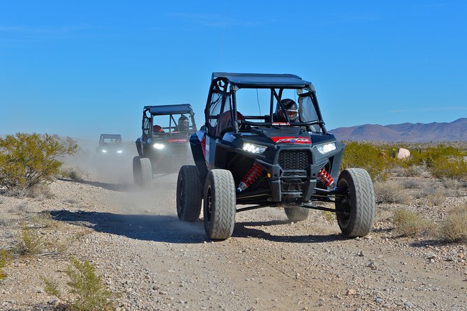 Las Vegas Desert RZR Adventure Tour at the Pioneer Saloon - Goodsprings desert loop: more wheel time plus wildlife odds