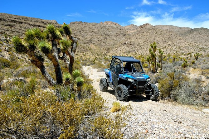 Las Vegas Desert RZR Adventure Tour at the Pioneer Saloon - Sandy Valley RZR driving: rocky fun, guide pacing, and radios you can use