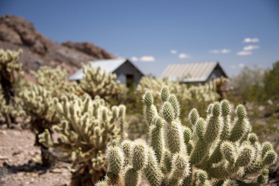 Las Vegas: Eldorado Canyon Gold Mine Tour - Key things to know before you go