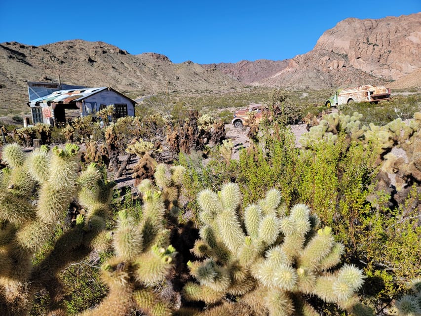 Las Vegas Eldorado Canyon & Nelson Ghost Town Adventure Tour - Nelson’s Landing Colorado River views: the calm finale