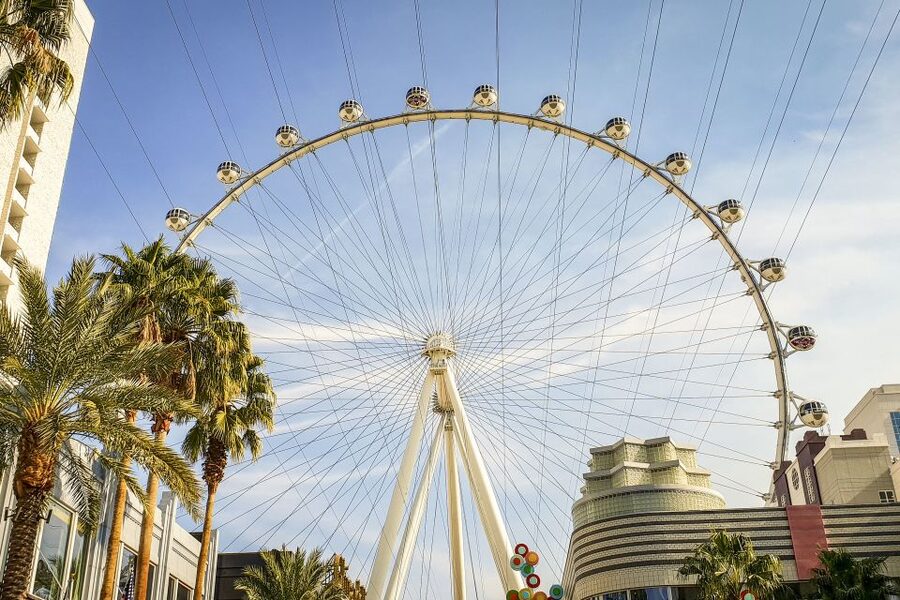 Las Vegas: FLY LINQ Zipline Ticket - Who should book FLY LINQ, and who should skip