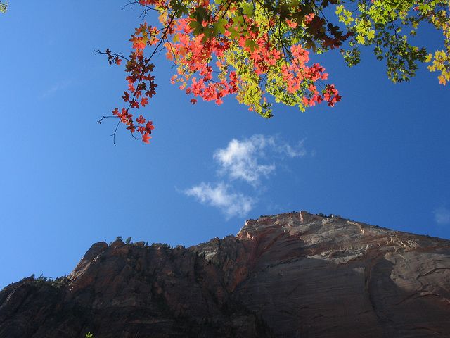 Las Vegas: Grand Canyon, Antelope, Bryce and Zion 3-Day Tour - Transportation Comfort: A/C, Long Miles, and the “Rest Stops Are Part of the Plan” Life