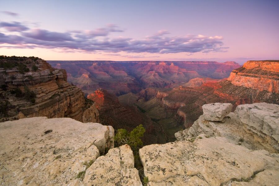 Las Vegas: Grand Canyon National Park Day Tour - Luxury Coach Comfort: What the Ride Feels Like