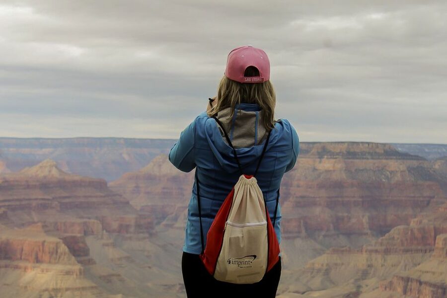 Las Vegas: Grand Canyon National Park South Rim Guided Tour - Mather Point: The Photo Stop That Sets the Mood