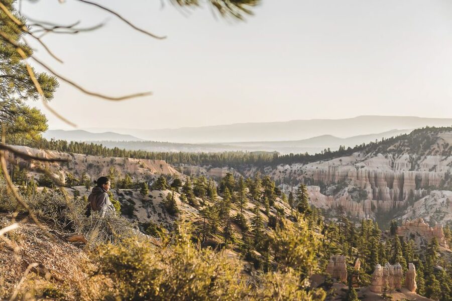 Las Vegas: Grand Canyon National Park South Rim Guided Tour - Lunch, Snacks, and That 30-Minute Dinner Reality