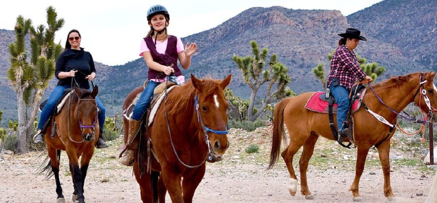 Las Vegas: Grand Canyon Ranch Tour with Horseback/Wagon Ride - Grand Canyon Western Ranch arrival: guided storytelling and buffalo-focused sights