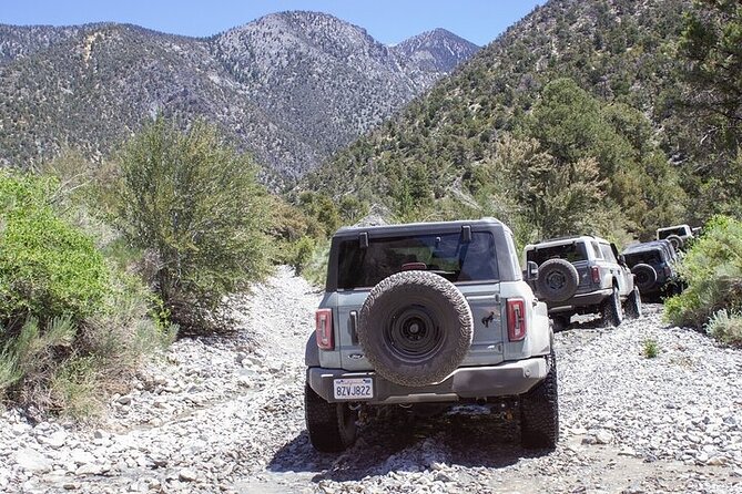 Las Vegas Guided Off-Road Adventure to Callville Wash - What’s Included (and How It Improves Your Day)