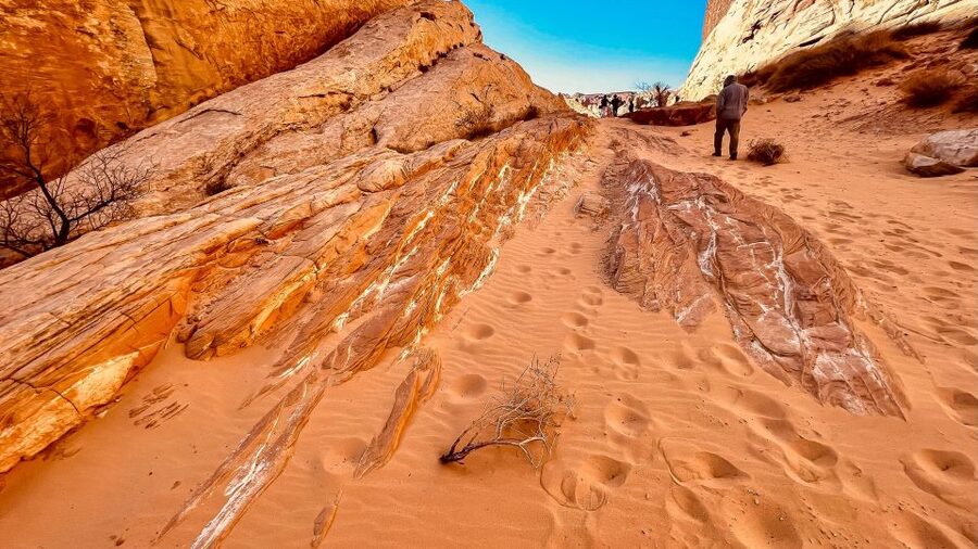 Las Vegas: Hoover Dam, Valley of Fire, Boulder City Day Tour - Lake Mead Recreational Area: the easy scenic break