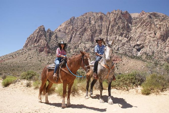 Las Vegas Horseback Ride with Meal - Key Things You’ll Notice Right Away